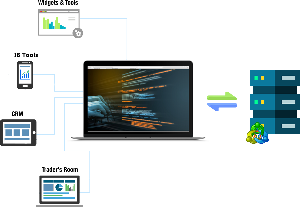 Web API for MT4/MT5